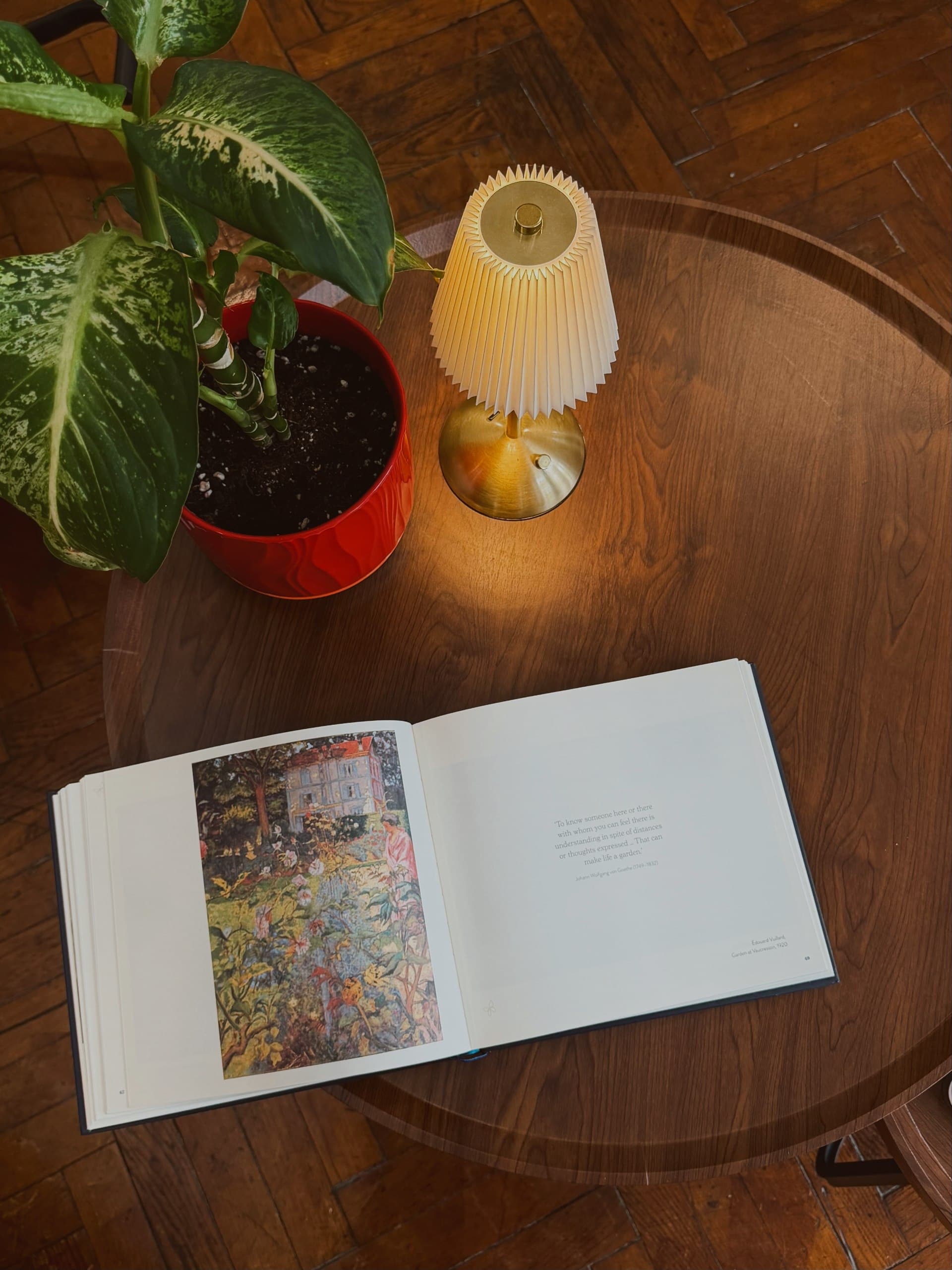 Art book, brass lamp and plant on a wooden table in the studio lounge